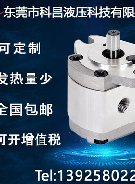 科昌HGP-1A液压齿轮泵增压高压齿轮油泵高粘度齿轮泵自动化机械泵