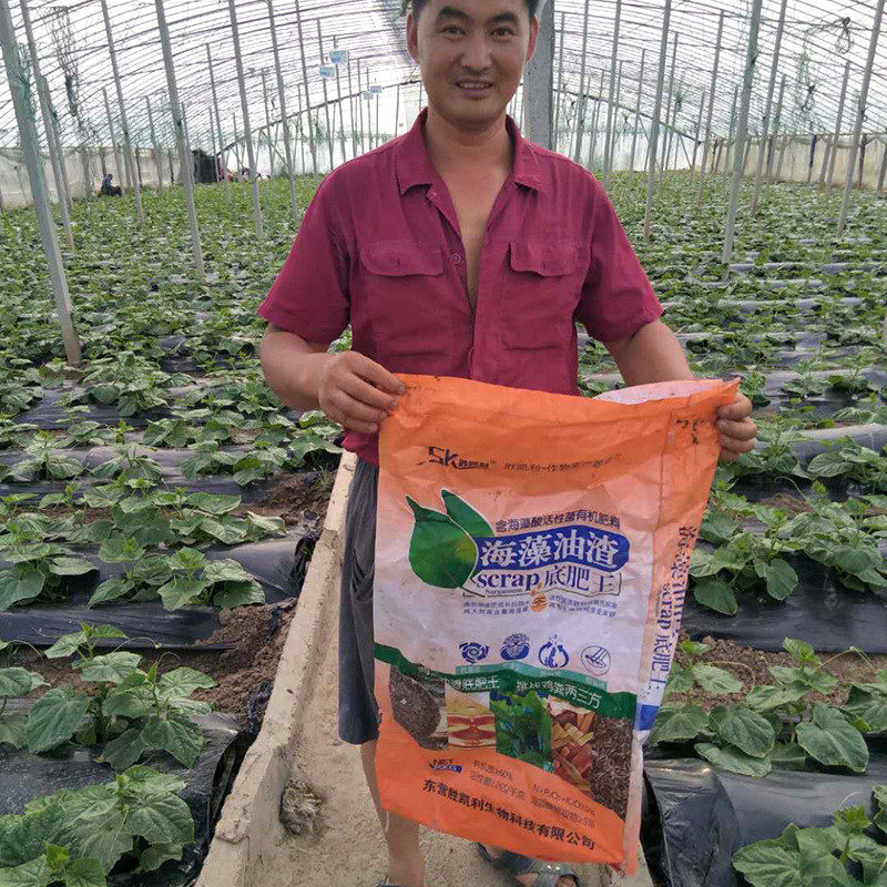 厂家直供羊鸡粪生物有机肥微生物菌肥海藻油渣后劲大重茬抗,鲜花速递/花卉仿真/绿植园艺,介质/营养土,淘宝优惠券,粉丝福利购,淘宝优惠卷