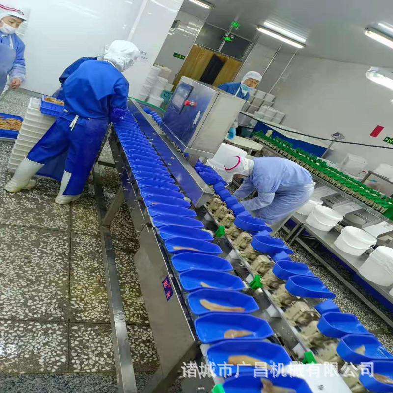 重量分级机料盒式海蛎子海参自动分选机金鲳鱼分选机选果机