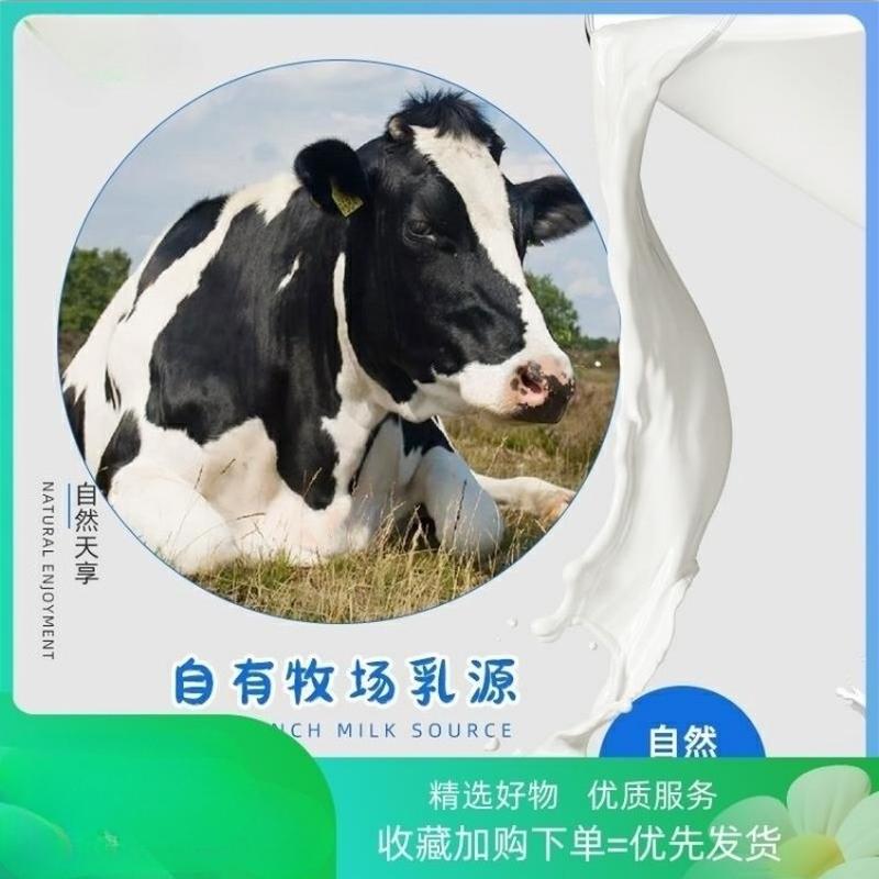 纯牛奶1L装常温生牛乳商用全脂鲜奶咖啡奶咖啡奶茶店专用