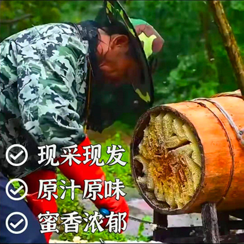 新日期【包邮】【一年割一次】深山蜂蜜农家天然土蜂蜜直供10斤