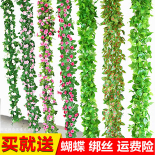 饰塑料花缠空调管遮挡 仿真藤条绿萝叶子假植物葡萄叶包下水管道装