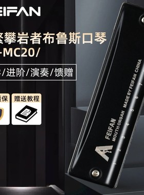 FEIFAN飞繁十孔攀岩者C调布鲁斯口琴MC20初学者入门专业演奏口琴