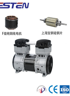 专业厂家供货摇摆活塞式无油空压机BST1100AF静音AC220长寿命耐用