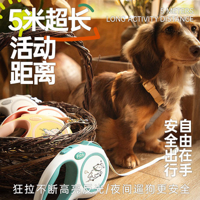 Fida菲达复古小狗自动伸缩牵引防爆冲反光织带大中小型犬猫咪牵绳