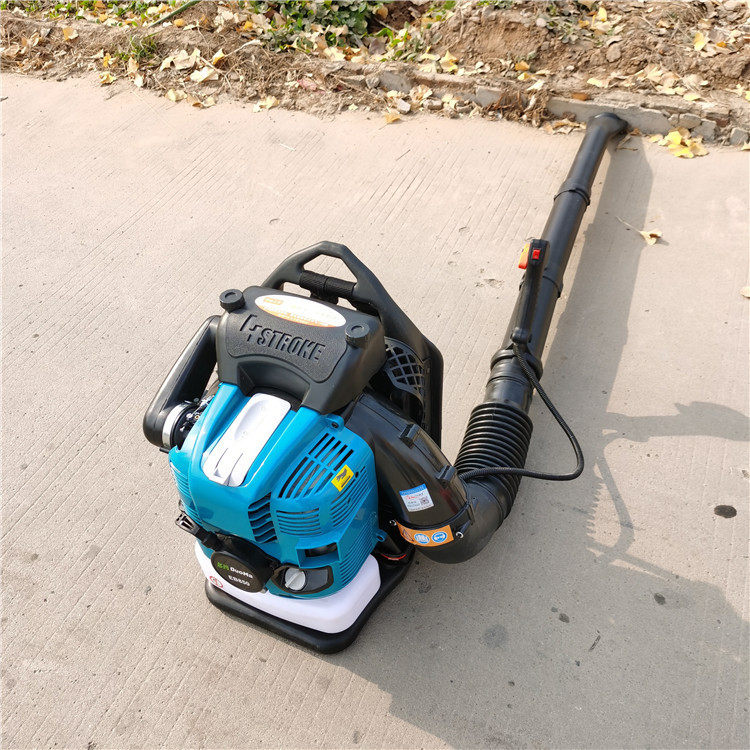 热销便携式汽油吹风机 吹雪大棚手提式机 四冲程大功率吹尘机,农机/农具/农膜,林业机械,淘宝优惠券,粉丝福利购,淘宝优惠卷