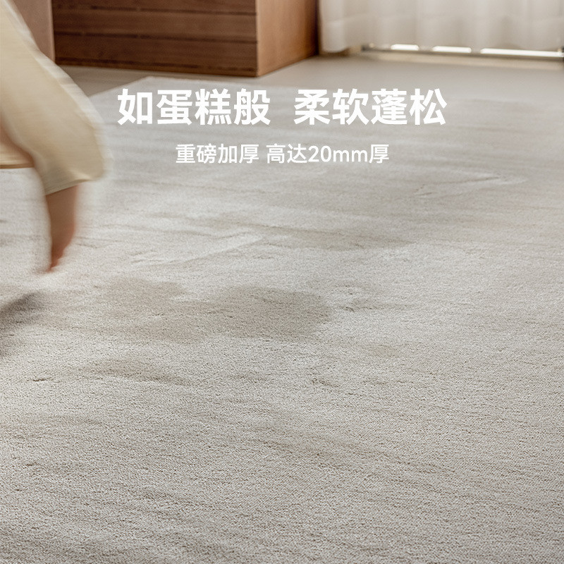 重磅客厅地毯茶几毯卧室加厚涤纶家用素色纯色现代简约风20mm