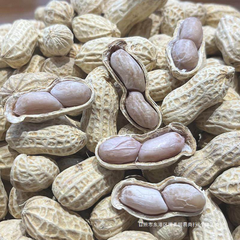新货正宗福建龙岩花生带壳湿烤紫衣咸干花生水煮花生晒干原味花生