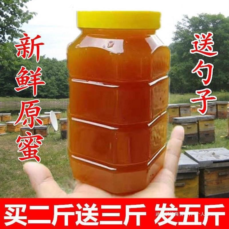 新货原始洋槐天然农家自产山东老山蜂蜜蜂蜜百花蜜结晶土蜂蜜液体
