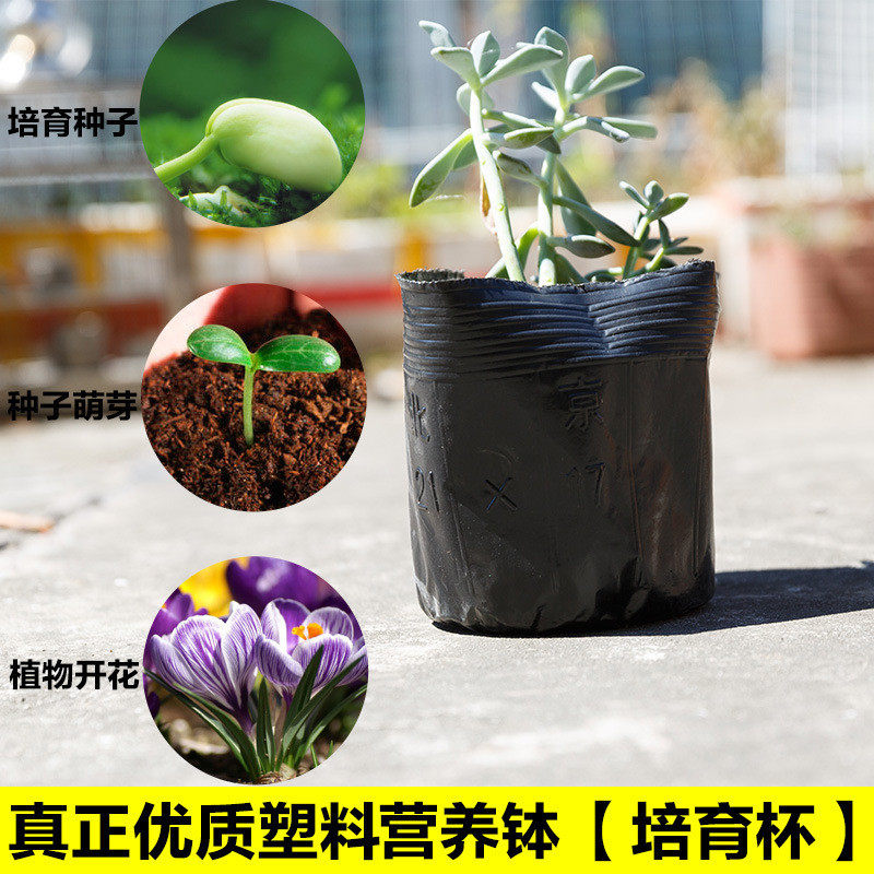 厂家供应营养杯塑料营养钵批发营养袋异形育苗杯育苗袋育苗盆
