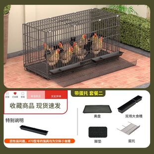 鸡下蛋家禽笼子的养殖笼鸡舍棚家庭养鸡笼鸡窝特大号下蛋自动滚蛋