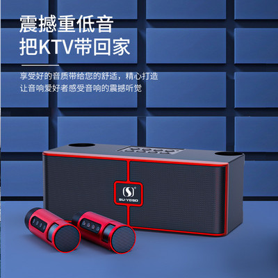 户外K歌音响20W双喇叭双话筒卡拉OK套装K歌宝一体机音箱