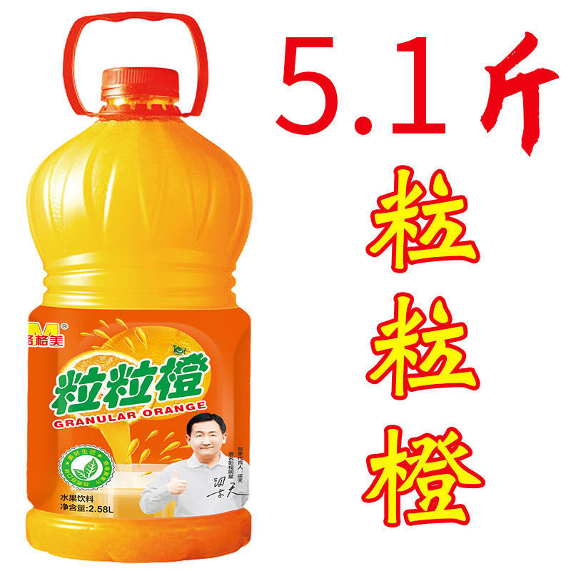 新货年货5斤装大桶饮料酸枣汁饮品 酸枣味饮料 酸梅汤饮料蓝莓汁