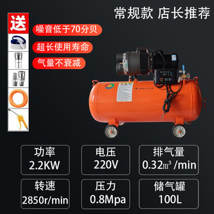 雨燕滑片式空气压缩机高压充气打气泵汽修喷漆木工小型220v空压机