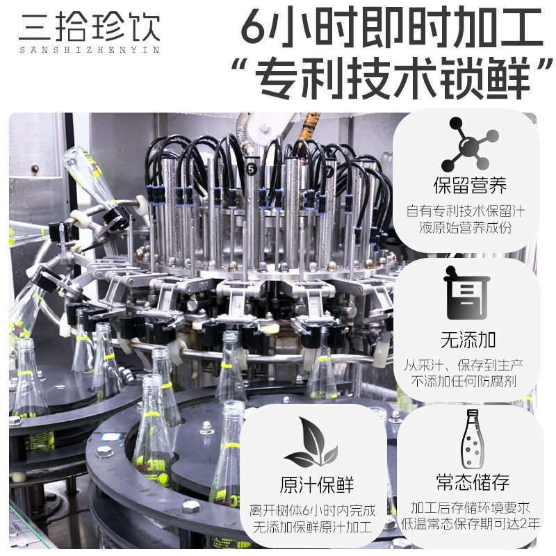 新货三拾珍饮白桦树汁原汁天然原液纯瓶饮桦树水330ml*6木本植物