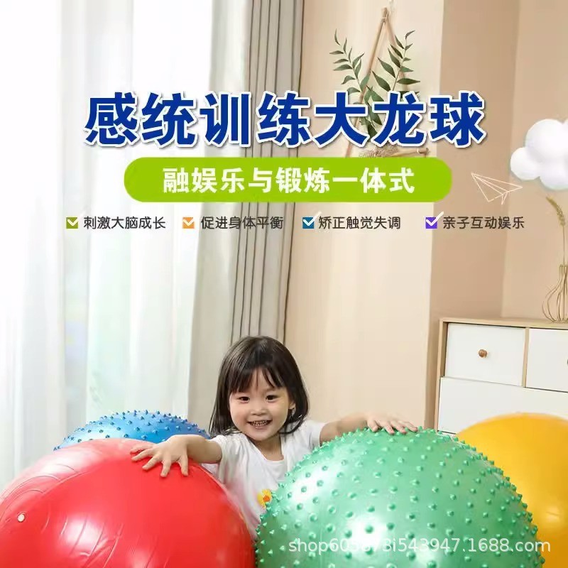教大龙球儿童前庭感统训练器材幼儿园平衡触觉瑜伽家用按摩玩具