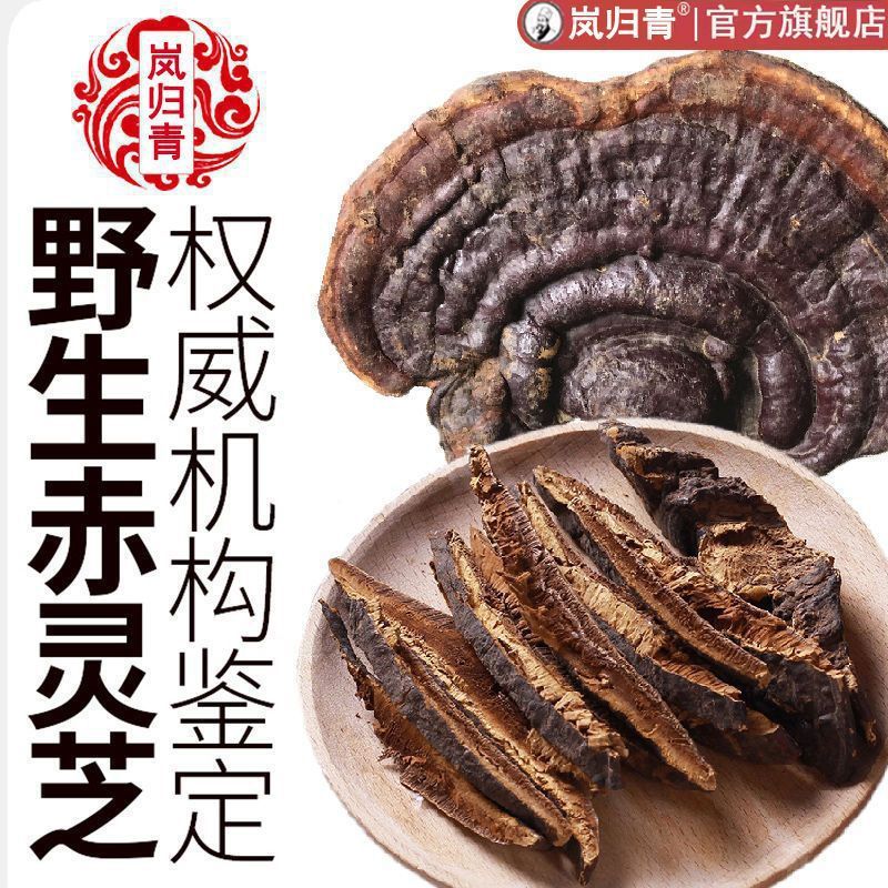 新货灵芝野生深山野灵芝干货无柄赤灵芝真品野山灵芝食用菌料泡包
