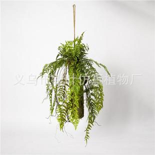 饰品 仿真吊兰高仿垂吊植物波斯草带灯吊兰软胶吊兰天花板装