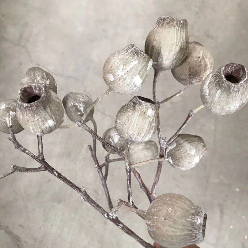 天然植物干花钟果一口钟插花软装工艺品配件
