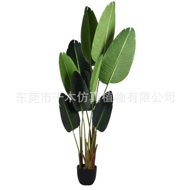 个性独特红色美人蕉蓝色系列组合芭蕉散尾葵龟背仿真粉色布景