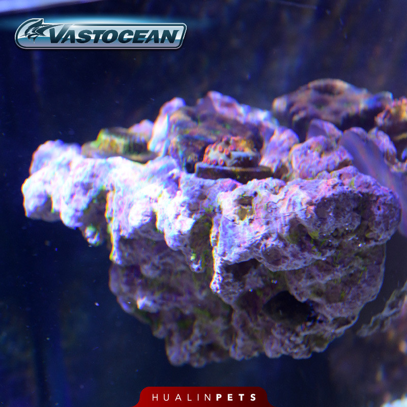 Vastocean悬浮磁力仿真造景石珊瑚断枝架乌龟爬架珊瑚礁鱼缸仿真