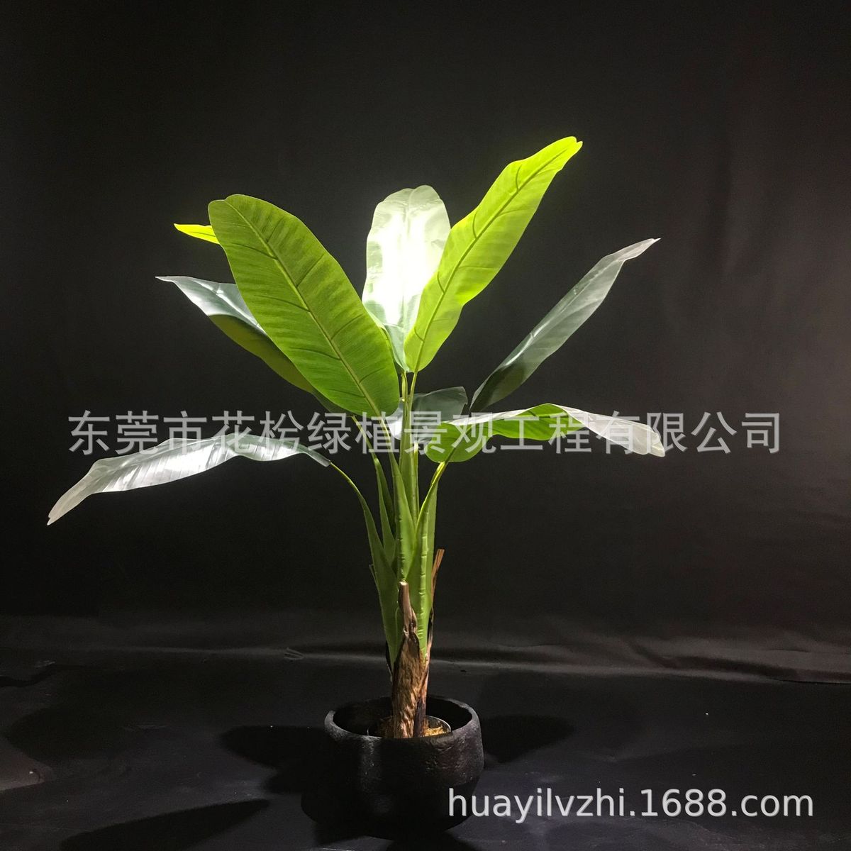 现货代发仿真芭蕉树过橱窗摆放绿植盆栽招财蕉盆景胶叶