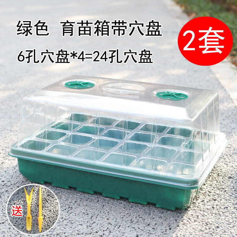 扦插艺术秀园艺箱大号高盖48孔24育苗盘盆播种闷养盒叶盘