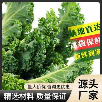 新日期送礼包邮甘蓝新鲜蔬菜食用榨汁烤片健身轻食斤顺丰羽衣西餐