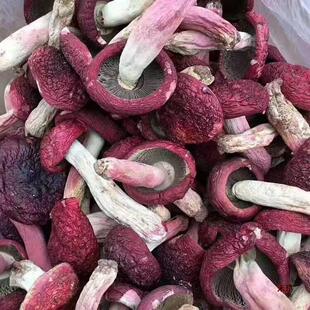 新货新货云南野生红菇干货大红椎非福建小红菇孕妇煲汤食材直供