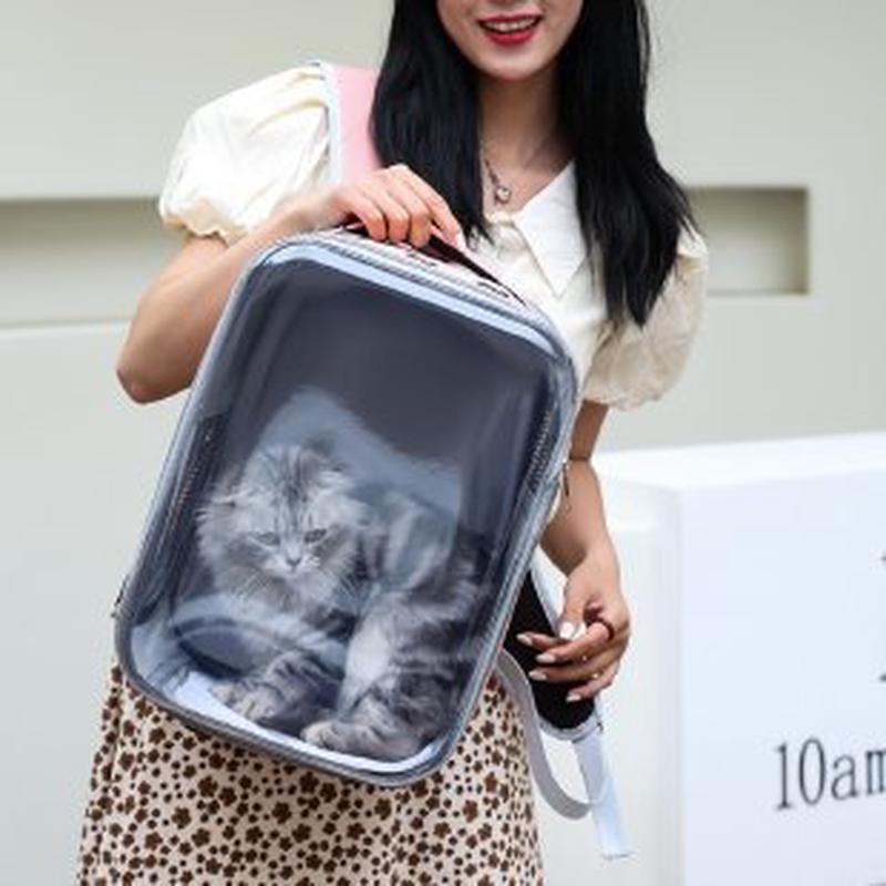 热销透气时尚猫包透明外出双肩手提便携猫包新款宠物猫包狗包宠物