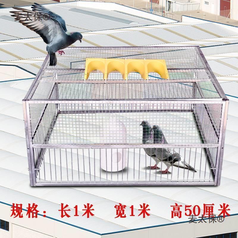 捕鸽神器抓鸽子笼全自动只进不出天落笼自动跳门撞门笼鸽子麦太保