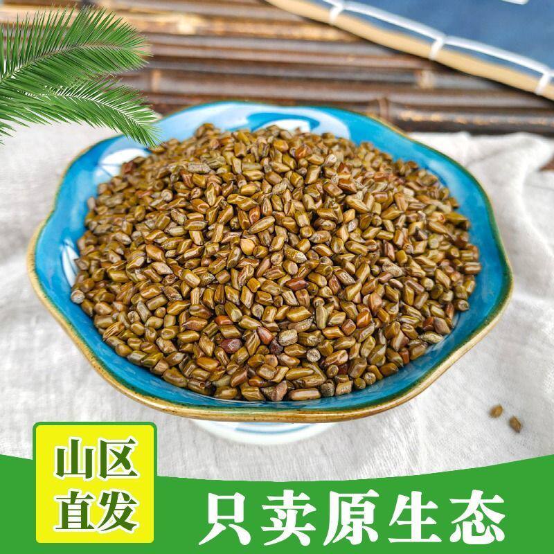 新货决明子农家生决明子泡茶野外生长可炒熟草决明籽材枕芯500g克