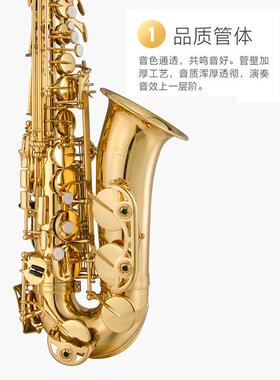 热销津中音萨克斯jbas-100gp宝
