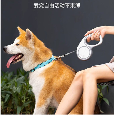 多尼斯狗狗牵引绳中大型犬自动伸缩狗绳爆冲遛狗绳5米狗链
