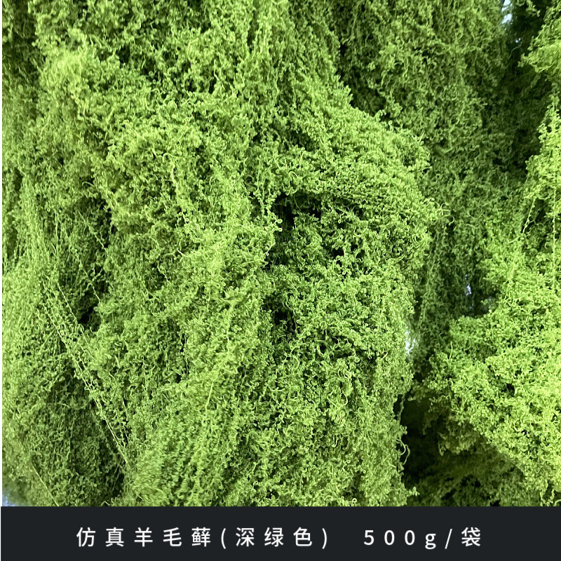 仿真苔藓草皮仿生羊毛藓微景观布置盆景盆栽草坪摆件铺面造景