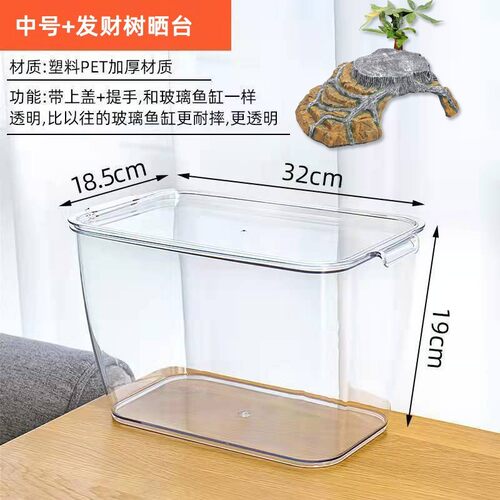 六角恐龙鱼的鱼缸专用蝾螈用品缸美西小乌龟饲养箱宠物盒锦鲤饲养