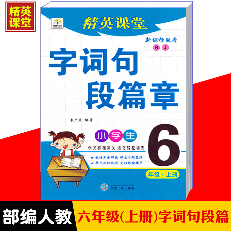 6年级语文同步讲解教辅字词句