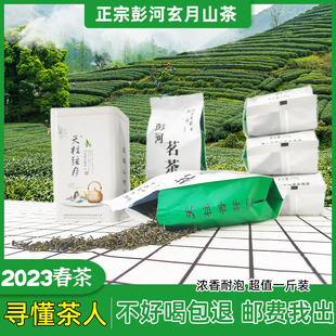彭河玄月耐泡新茶安徽天柱山弦月浓香炒青雨前高山绿茶叶安庆特产