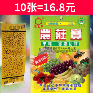达豪农庄宝果蝇诱捕器蝇迷果蝇诱粘板瓜实蝇通杀果蝇(10贴包邮)