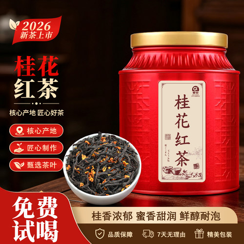 春安武夷正山小种桂花红茶新茶叶