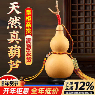 天然葫芦摆件开口招财家居玄关客厅办公室中国结大号文玩葫芦挂件