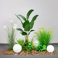 Ксилин Го луга