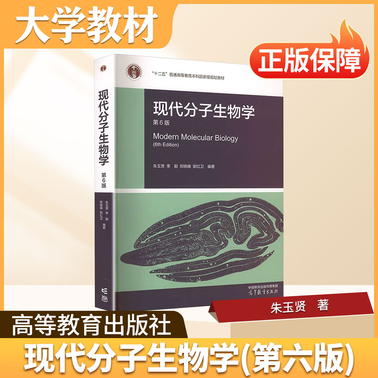 现代分子生物学高等教育出版社大学教材现代分子生物学第6版正版普通高等教育本科规划教材现代分子生物学实验的技术原理和流程
