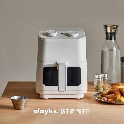 olayks立时空气OLK-OY05多功能家用电炸锅5L可视大容量机械款塑料