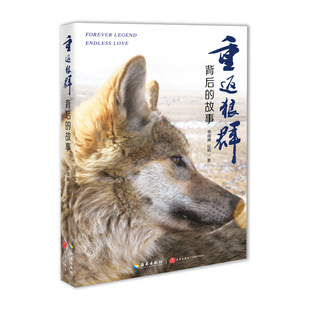 重返狼群背后的故事李微漪千里寻你重返狼群让我陪你重返狼群小学生三四五六年级课外阅读书籍狼图腾姜戎沈石溪正版海南出版社