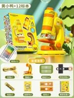 Желтый утенок [12 Образец+веревка для шеи+кронштейн для мобильного телефона+изысканная подарочная коробка]