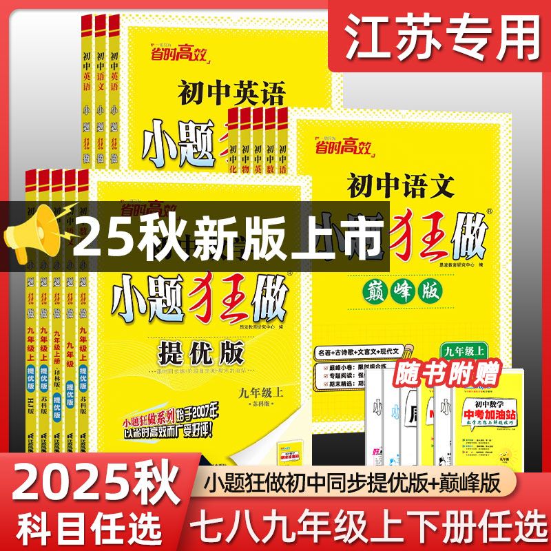 初中小题狂做七八九年级任选