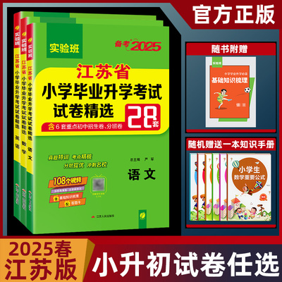 2025小学毕业升学考试语数英