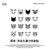 想自由 猫咪多图组合草本果汁纹身贴遮盖遮瑕高级感防水持久可爱