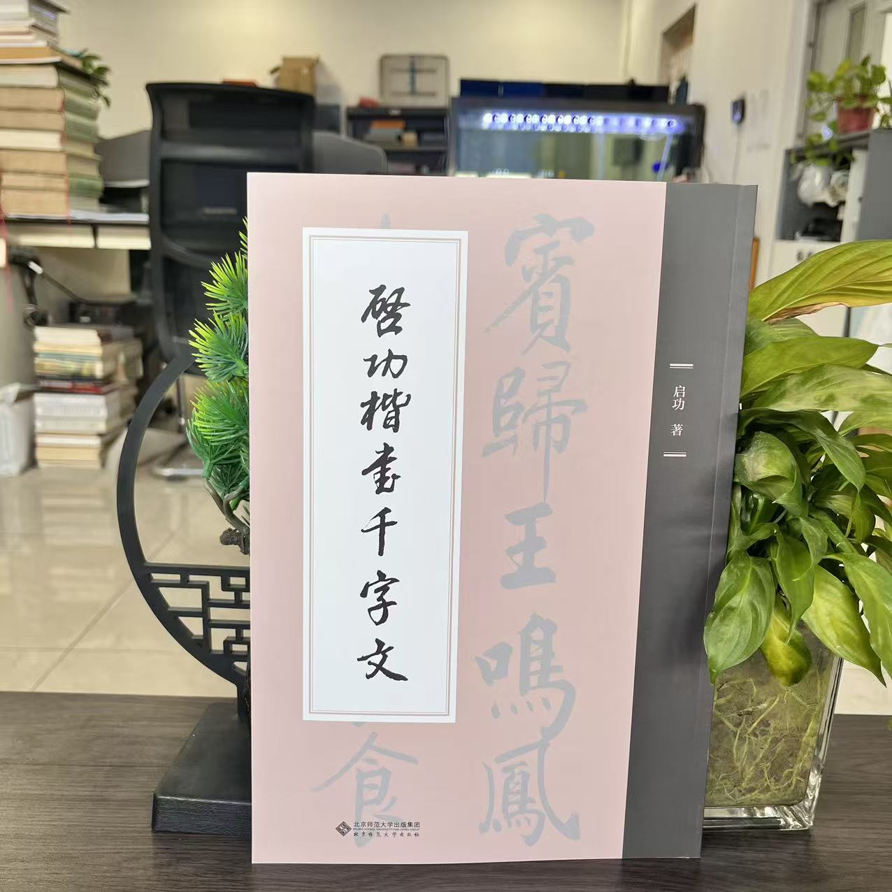 微瑕-启功楷书千字文9787303301430北京师范大学